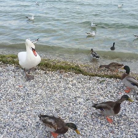 Antico Convento Daire Moniga del Garda Dış mekan fotoğraf