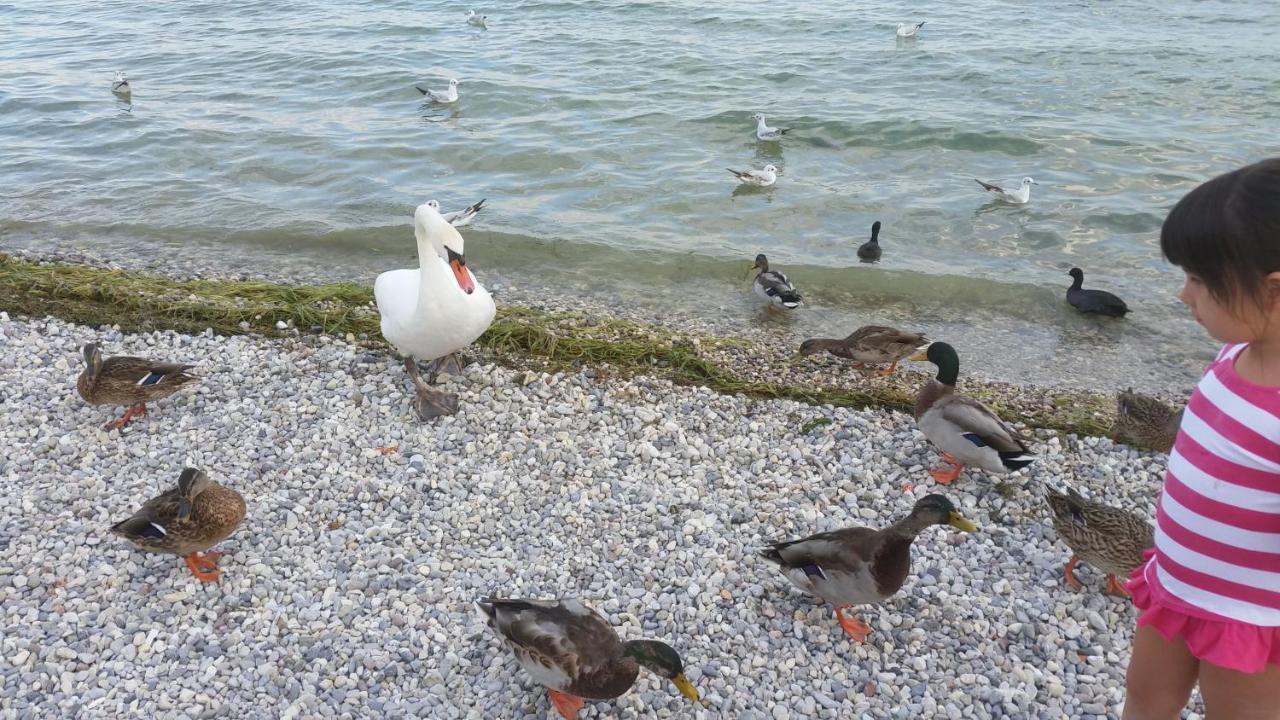 Antico Convento Daire Moniga del Garda Dış mekan fotoğraf